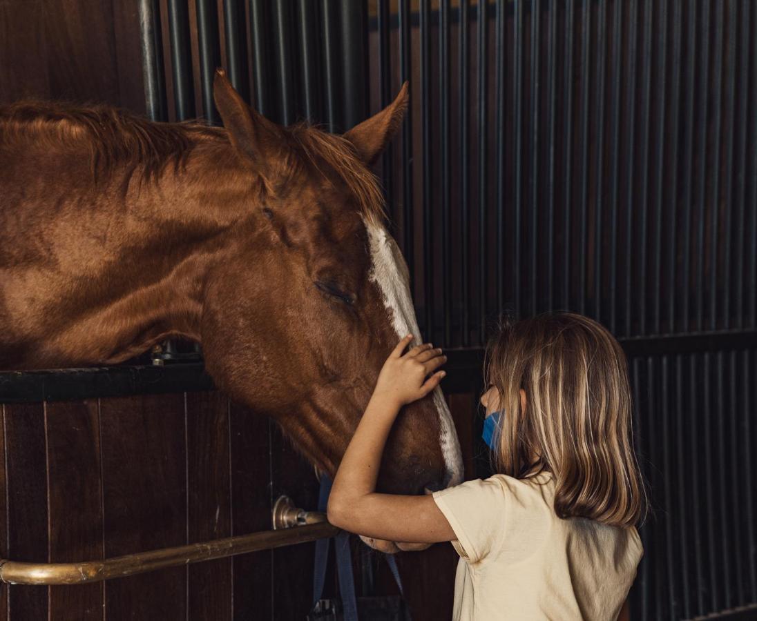 Podere Val D'Orcia - Tuscany Equestrian Sarteano Bagian luar foto